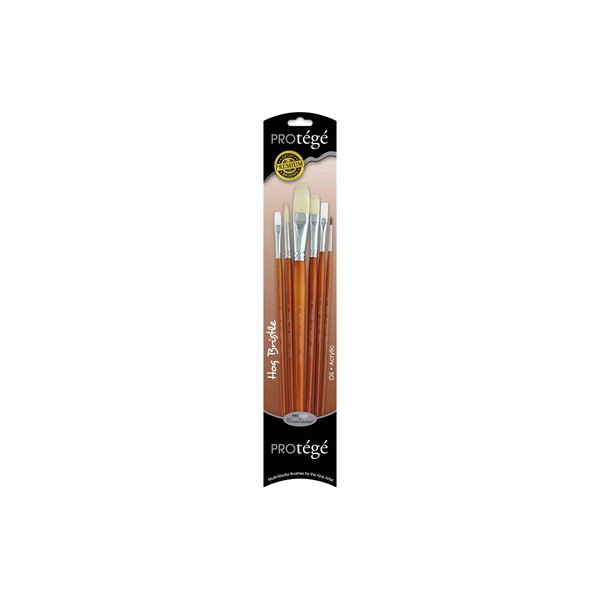 Protege Brush Set Variety Pack Long Handle 6pc