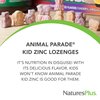 NaturesPlus Animal Parade KidZinc, Tangerine Flavor - 90 Animal-Shaped Lozenges, Pack of 2 - Organically Chelated Zinc - Vegan, Gluten Free - 180 Total Servings