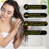 RTBYUE Black Seed Oil Capsules, 40 Softgels, Organic Turkish Black Cumin Nigella Sativa Seed Oil, Premium Cold Pressed Black Cumin Seed Oil, Hair Treatment Serum Oil Capsules (Black Seed Oil)