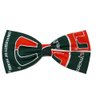 EmilyRose Couture Sports Themes Hair Bow Collection (Headband, Miami/Green)