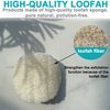 36 pcs/Set Natural Exfoliating Face Pad Loofah Sponge Facial Brush - Makeup Remover - Shower Scrubber - Remove Dead Skin - Body Bath Spa for Men & Women - Renewable Resource - Pack of 36