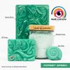 Eye Candy Premium Mica Powder Pigments | Multipurpose DIY Arts and Crafts Additive | Acrylic, Woodworking, Bath Bombs, Resin, Epoxy, Soap, Fishing Lures (Forest Green)
