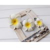 VEICOSTT Women Flower Foam Hair Clip Hawaiian Artificial Plumeria Flower for Beach Wedding 3 Pack ZFJ01N (White)