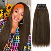 HANNE 22 Inch Kinky Straight Clip Ins Hair Extensions Clip ins for Women 4 Pieces/Lot Yaki Hair Seamless Kinky Clip ins Hair Extensions Clip ins for Daily or Party Use (M30, 22 Inch)