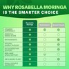 Rosabella Moringa Capsules - Pure Moringa Powder, Energy, Skin, Immune & Gut Health Superfood, Rich in Antioxidants, Essential Vitamins & Amino Acids, Natural Green Superfood Supplement - 60 Count