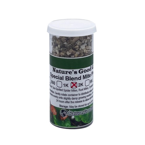 2,000 Live Adult Predatory Mite Mix - Special Blend Mix - Triple Blend Mix