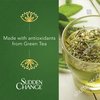 Sudden Change Green Tea Facial Mask 3.4oz by Sudden Change