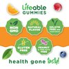 Lifeable Iron Gummies with Vitamin C - 20 mg - Great Tasting Natural Flavor Gummy Supplement - Gluten Free Vegetarian GMO-Free Chewable - for Iron Deficiency - for Adults, Men, Women - 90 Gummies