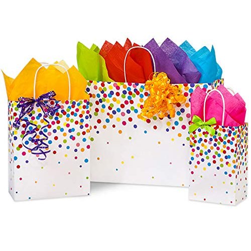 Stephanie Imports Made in USA Set of 6 Rainbow Confetti Paper Shopping Bags (3 sizes) With Tissue Paper - 100% Recyclable