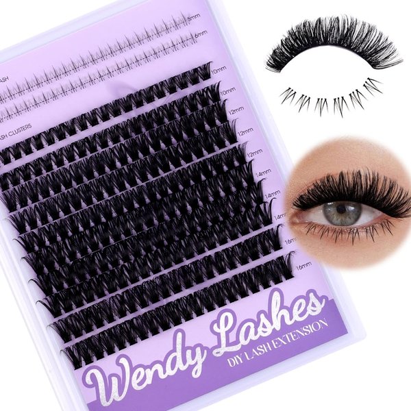 WENDY Lashes Clusters Multi-Type DIY Eyelash Extension - Lash Clusters D Curl 60D & Bottom Lashes, Black Cluster Eyelash Extensions Wispy Soft Individual Lashes Suitable for Beginners, 10-16 MM
