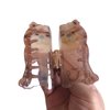 Funny Brown Bear Hair Clip,Acetate Claw Clips,Hair Clips for Women