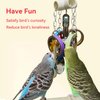 JSLZF Bird Chew Toy for Parrot Durable Conure Scoop and Colorful Cardboard Bagel Toy Cockatiel Stainless Steel Spoon Ring Toy Parrot Cage Hanging Toy for Lovebirds, Parakeet