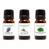 Top 3 100% Pure Essential Oil Basic Set 10ml (Lavender, Tea Tree, Peppermint Supreme) 10ml Each