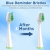 Replacement Brush Heads for Smile Bright Platinum Sonic Electric Toothbrush, Soft Bristles, 4-Pack, with Covers