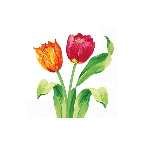 Amscan Bright Tulips Beverage Napkins, 16 Ct. | Party Tableware