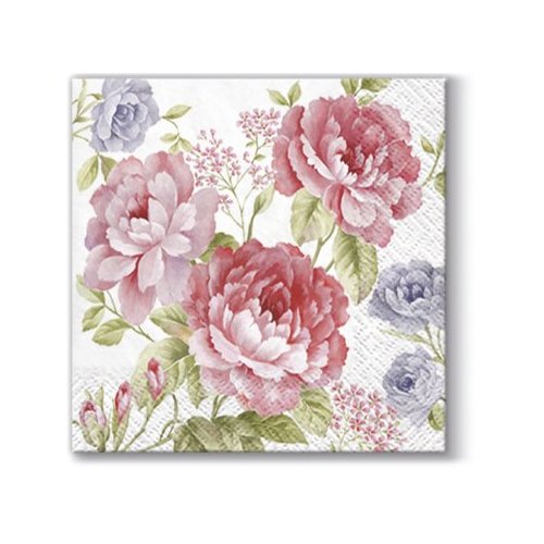 Cocktail Napkins, Eco Friendly Paper Napkins for Decoupage, 40pcs (Julietta)