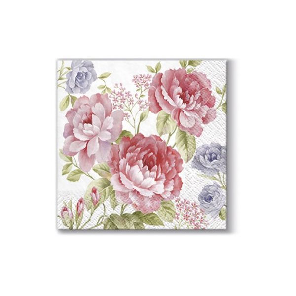 Cocktail Napkins, Eco Friendly Paper Napkins for Decoupage, 40pcs (Julietta)