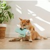 Nestpark Tumbler Cup Funny Dog Toy - Parody Plush Squeaky Crinkle Dog Toy (Mint Green)