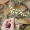 Unicra Bride Wedding Crystal Hair Pins Bridal Hair Pieces Wedding Hair Accessories for Women and Girls (Pack of 1) (Gold)