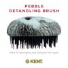 Kent PHOG Hedgehog Pebble Scalp Massager Shampoo Brush, Shower Brush, and Travel Size Detangling Brush - Scalp Scrubber for Dandruff and Kids Hair Brush Hair Detangler - Hairbrush for Tangles