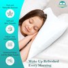 Travel Pillow Case 12x16 Size Set of 2 Envelope Closure Toddler Pillowcase 600 Thread Count 100% Soft Egyptian Cotton Travel Pillow Covers 12 x 16, White Solid