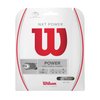 Wilson NXT Power 17 Tennis String - Set, White
