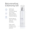 Kerstin Florian Rejuvenating Cleansing Gel, Gentle Face Wash and Makeup Remover for All Skin Types (6.8 fl oz)