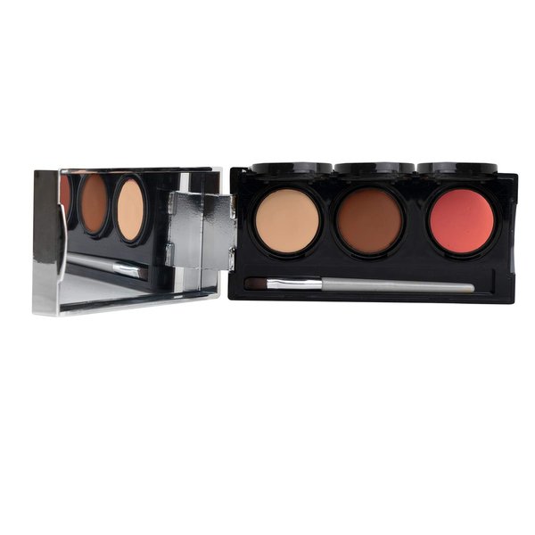 Dermaflage Tattoo Cover Up Bruise Full Coverage Concealer - Waterproof, Smudge & Sweat Proof Body Concealer Cream Palette Pro SFX - 3 Color Shades for Scars, Acne (Dark)