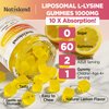 NATISLAND Liposomal L-Lysine Gummies 1000mg, Lysine Supplement for Adults & Kids, Chewable Lysine with Zinc for Lips & Oral Health, Immune & Collagen Support, Vegan, Sugar Free, Lemon Flavor, 60 Count