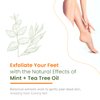 Natural Chemist Mint & Tea Tree Foot Masks Moisturizing Socks - Soften Dry Cracked Feet, Removes Dead Skin Cells, Moisturizing Foot Mask - Cruelty Free Korean Skin Care For All Skin Types - 3 Pairs
