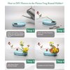 JUSTDOLIFE Flower Frogs Stainless Floral Frogs Kenzan Flower Vase Round Metal Flower Arranger Tool Pin Holder Ikebana Flower Pin Frogs for Vase Flower Arrangements Home DIY Craft