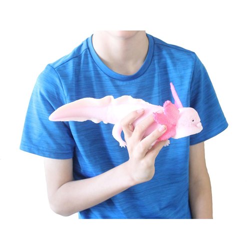 Set of 2 Smaller 6" Grow an Axolotl - Add Water and it Grows - Gift - Fun Critter Fun Science Expanding Novelty Magic Absorbent Polymer Toy (Set of 2 Smaller (6") Random Color Axolotls)