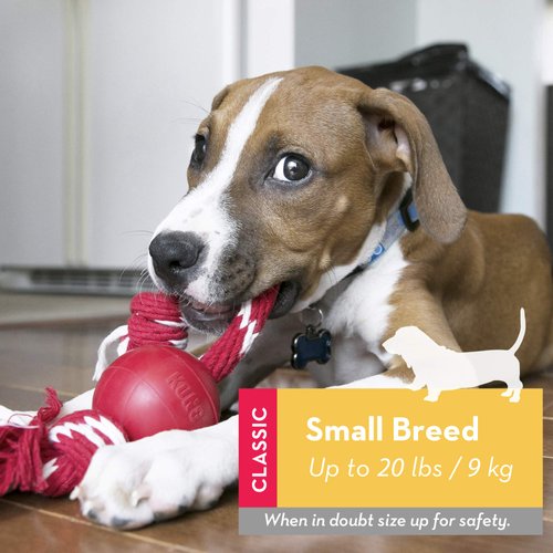 KONG Ball with Rope - Dog Fetch Toy with Rope for Easy Throwing - Durable Dog Ball Toy for Tug, Playtime & More - Natural Rubber Ball Rope Toy for Dogs - Red, For Small Dogs