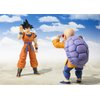 TAMASHII NATIONS - Dragon Ball Z - Son Goku -A Saiyan Raised on Earth-, Bandai Spirits S.H.Figuarts Action Figure