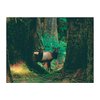 Leanin' Tree, The Pacific Northwest, Blank Cards and Envelopes, Blank Greeting Cards, Stationary Set, Blank Note Cards, (20 Blank Cards, 22 Envelopes)
