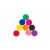 Smartdealspro 300pcs 1 Inch 10 Colors Opaque Plastic Learning Counters Counting Mini Poker Chips Game Tokens (Without Edge)
