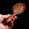 Hair Brush, Sandalwood Wooden Massage Comb, Air Cushion Comb for Men and Women with Cleaning Brush, Wooden Hairbrush Detangling Brush and Brush for Thick or Long Hair
