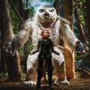 Dungeons & Dragons Honor Among Thieves Golden Archive Owlbear/Doric Collectible Figure, 6-Inch Scale D&D Action Figures