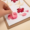 PATIKIL 8"x6" Flower Press Paper, 1 Set/30 Sheet Refill Lining Blotter Paper Absorbent Reusable Blotting Paper for DIY Art Handicraft Scrapbook