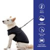 Gooby Fashion Vest Dog Jacket - Black, X-Small - Warm Zip Up Dog Bomber Vest with Dual D Ring Leash - Winter Water Resistant Small Dog Sweater - Dog Clothes for Small Dogs Boy or Medium Dogs
