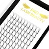 Premade Volume Eyelash Extensions 6D-C-0.07-14 Long Stem Premade Fans Eyelash Extensions Volume Lash Extensions .07 .10 Premade Volume Fans C D Curl Pre made Lash Fans(6D-C-0.07,14 mm)