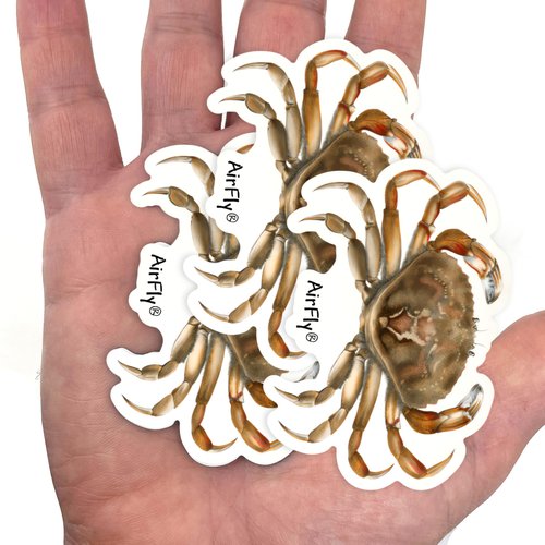 Dungeness Crab Magnet Sticker – Durable, Flexible, and Weatherproof | Vibrant & Eco-Friendly Design | Perfect for Cars, Refrigerators, Lockers, and More | Designed in The USA (3pcs)