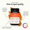New Zealand Honey Co. Raw Manuka Honey UMF 10+ | MGO 263+, UMF Certified / 17.6oz