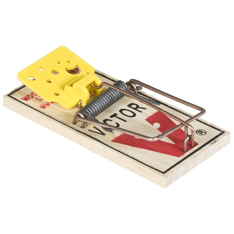 Victor Easy Set Mouse Trap 8 Pack - Includes The SJ Pest eBook ...
