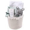 Organic Baby Gift Basket - Special Delivery - Organic Baby Essentials