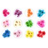 Dried Flowers for Nail Art CHANGAR Mini Real Natural Dry Flowers Sticker Decals Small Tiny Dried Flowers Five Petal Flower Resin Nail Art Supplies Decoration