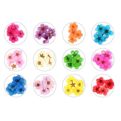 Dried Flowers for Nail Art CHANGAR Mini Real Natural Dry Flowers Sticker Decals Small Tiny Dried Flowers Five Petal Flower Resin Nail Art Supplies Decoration