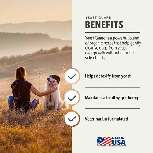 FOUR LEAF ROVER Yeast Guard for Dog Yeast - Veterinarian Formulated - Supports Healthy Skin, Ears & Paws - 100% Natural with Organic Herbs - 30 Day Medium Dog Supply