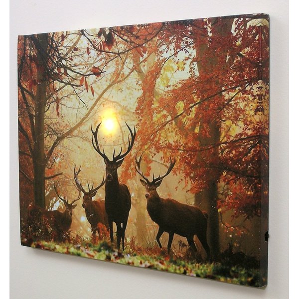 BANBERRY DESIGNS Big Buck Lighted Canvas Print - White Tail Bucks in Forest - Wildlife Wall Art - LED Light Up Deer Picture