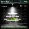 BRIM Grow Light Bulb for Plants, High PPFD 1100μmol/m²/s (1ft), Full Spectrum 24W (300W Equivalent) LED Grow Light Bulb, Grow Lights for Indoor Plants, E26 Grow Light Bulbs, 1-Pack (5800K, SOL 24W)